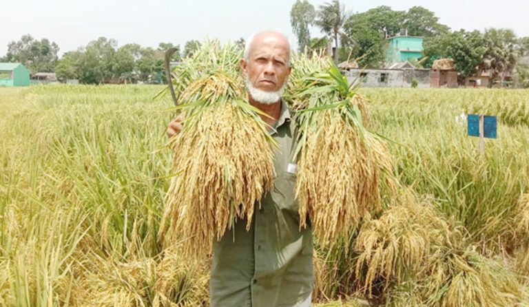 নতুন জাতের ধান উদ্ভাবন করেছেন রাজশাহীর নূর মোহাম্মদ