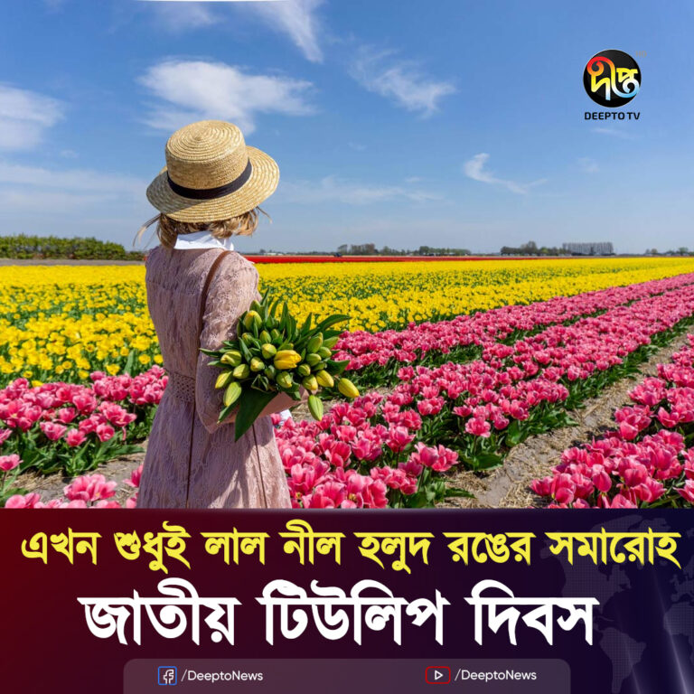 নেদারল্যান্ডসে উদযাপিত হলো জাতীয় টিউলিপ দিবস