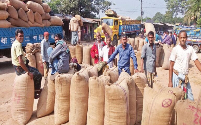 ধানে মণপ্রতি দর বেড়েছে ৫০ থেকে ৬০ টাকা