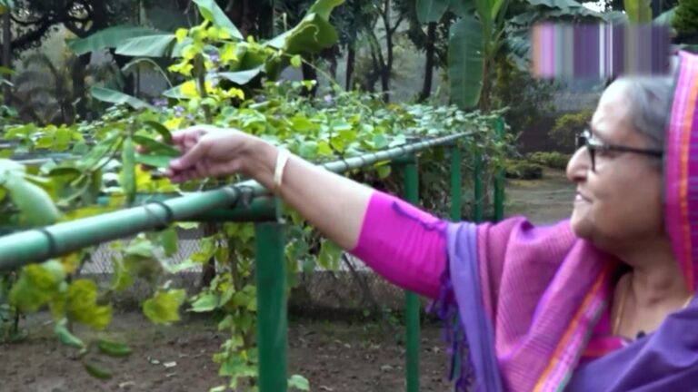 প্রধানমন্ত্রীর হাতের ছোঁয়ায় গণভবন যেন ‘খামারবাড়ি’