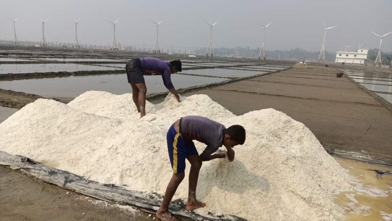 লবণের দাম নিয়ে শঙ্কায় চাষীরা