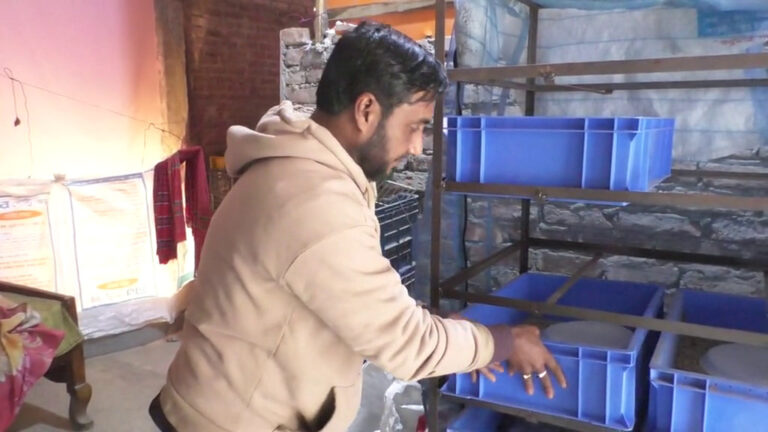 প্রোটিনের যোগান দেবে এই পোকা