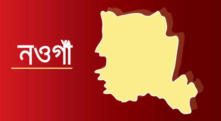 নওগাঁয় ট্রাকের ধাক্কায় স্কুলছাত্র নিহত