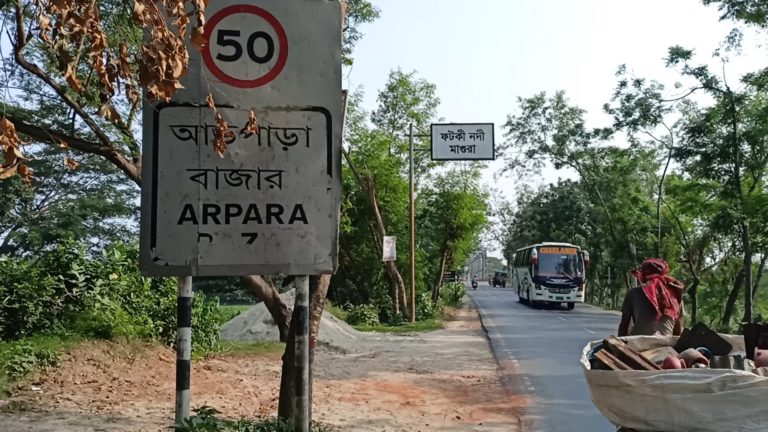 মাগুরায় ট্রাক চাপায় নিহত ২