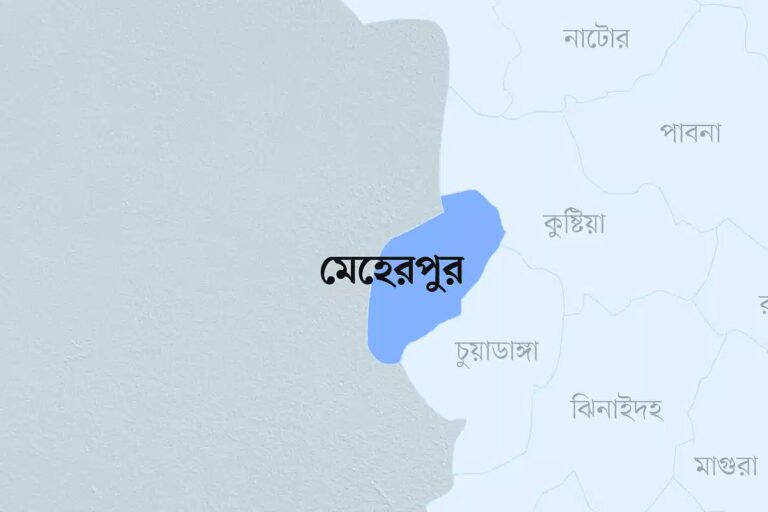 মেহেরপুরে গাছের সঙ্গে মোটরসাইকেলের ধাক্কা, আনসার সদস্যসহ নিহত ২