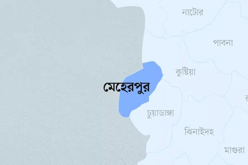 মেহেরপুরে গাছের সঙ্গে মোটরসাইকেলের ধাক্কা, আনসার সদস্যসহ নিহত ২