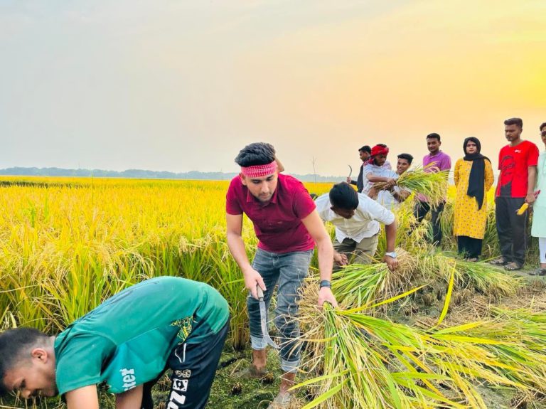 ঝিনাইদহে কৃষকের ধান কেটে দিলো ছাত্রলীগ