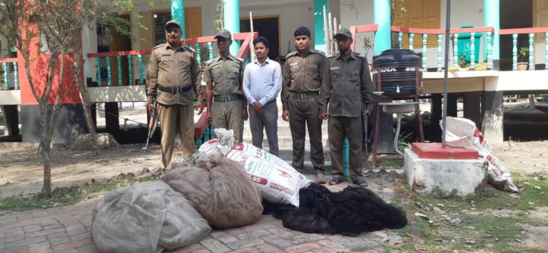 সুন্দরবনে নৌকা, জাল ও শুঁটকি ফেলে পালালো ৬ জেলে