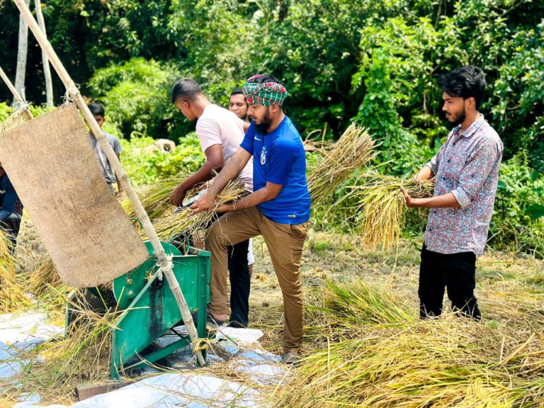 নোয়াখালীতে কৃষকের পাকা ধান ঘরে তুলে দিলো ছাত্রলীগ