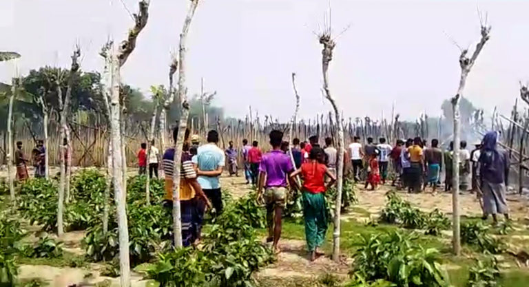হরিণাকুন্ডে ভয়াবহ আগুনে ২৫ বিঘা পানের বরজ ভস্মীভূত