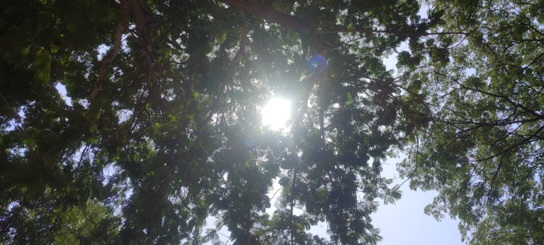 রাজশাহীতে তাপমাত্রার পারদ উপরের দিকে উঠছে, সর্বোচ্চ তাপমাত্রা ৪১ ডিগ্রী সেলসিয়াস