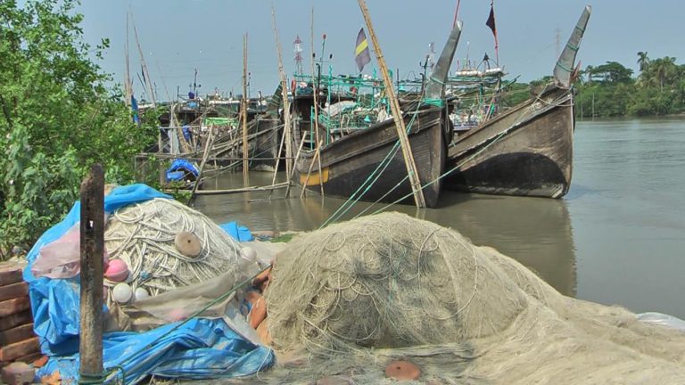 সুন্দরবনে ১শ দিন মৎস্য আহরণে নিষেধাজ্ঞা জারি