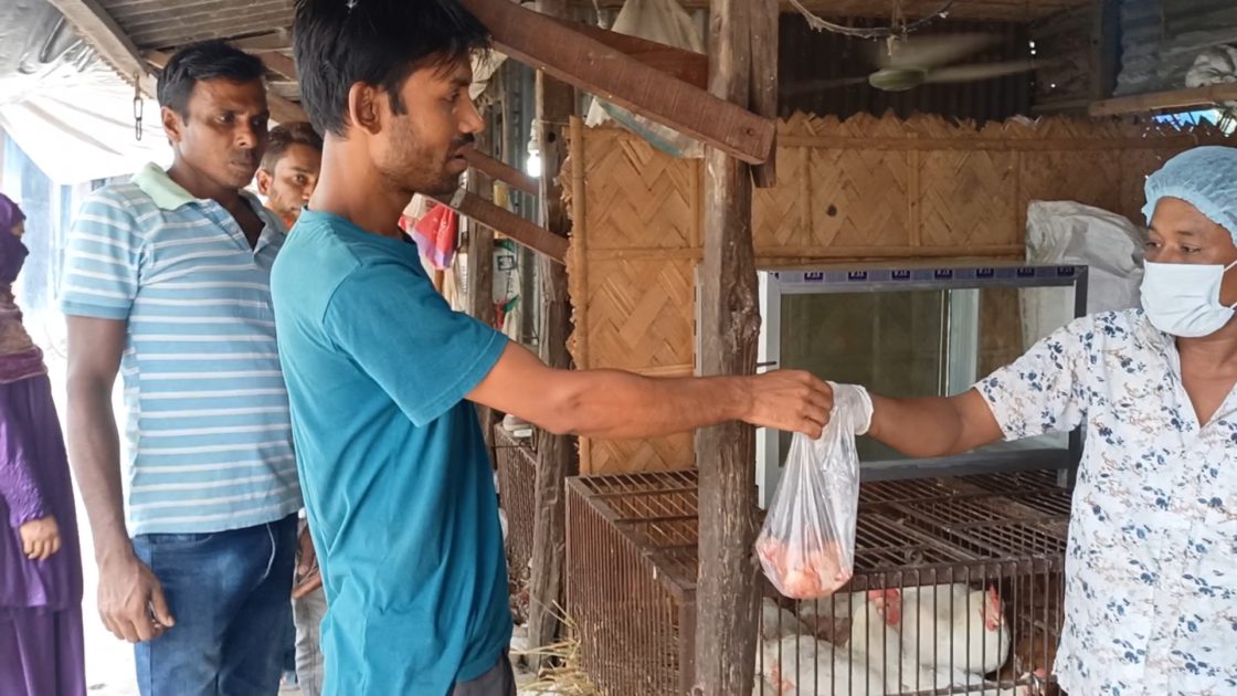 মাগুরায় প্রথমবারের মতো পাওয়া যাচ্ছে কাঁটা মুরগির মাংস