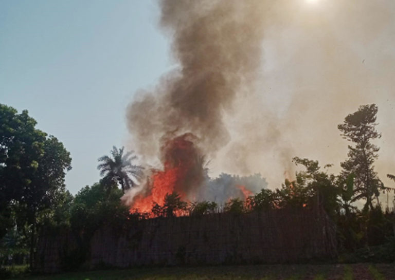 ঝিনাইদহে সাড়ে ৪ বিঘা জমির পানের বরজ পুড়ে ছাই