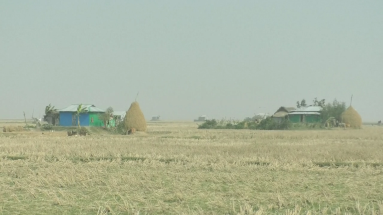 ঘূর্ণিঝড় মোখা অরক্ষিত হাতিয়ার চরগাসিয়া, ঝুঁকিতে ১৭ হাজার মানুষ