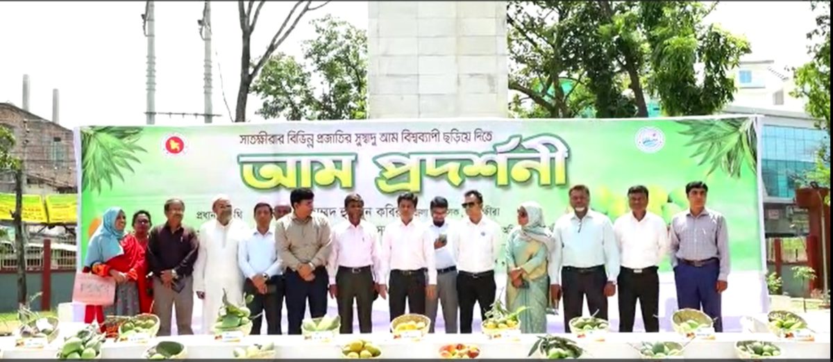 সাতক্ষীরায় বিভিন্ন প্রজাতির সুস্বাদু আমের প্রদর্শনী