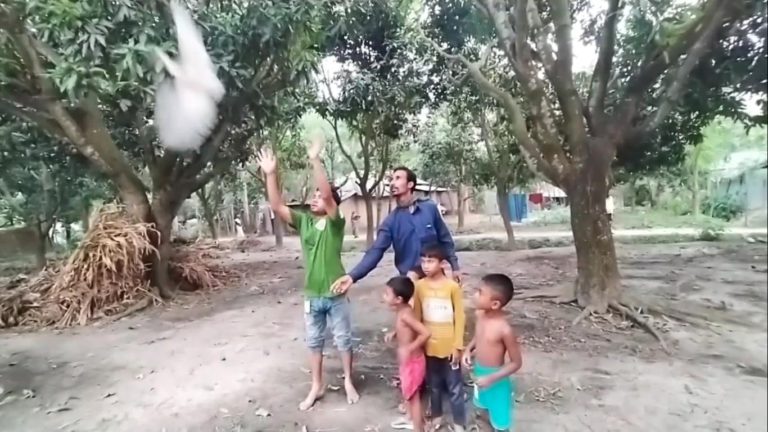 নাটোরে পাখি অবমুক্তসহ শিকারে ব্যবহৃত জাল ধ্বংস