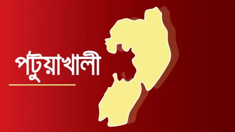 পানিতে ডুবে তিন ভাইবোনের মৃত্যু