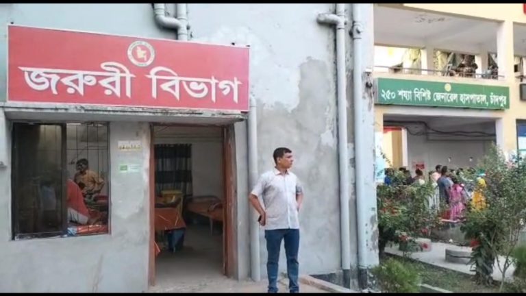 মোটরসাইকেলে ঘুরতে গিয়ে দুর্ঘটনায় দুই বন্ধুর মৃত্যু
