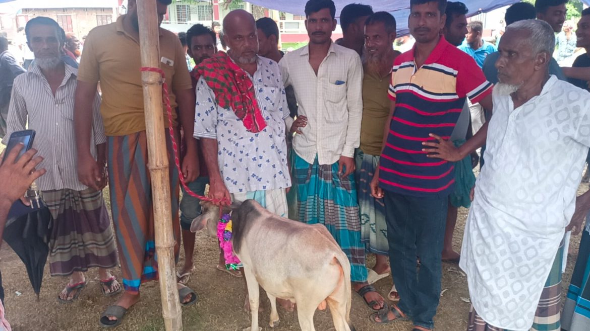 5ddab866-f18e-45b7-b0dd-779f4d74aaca