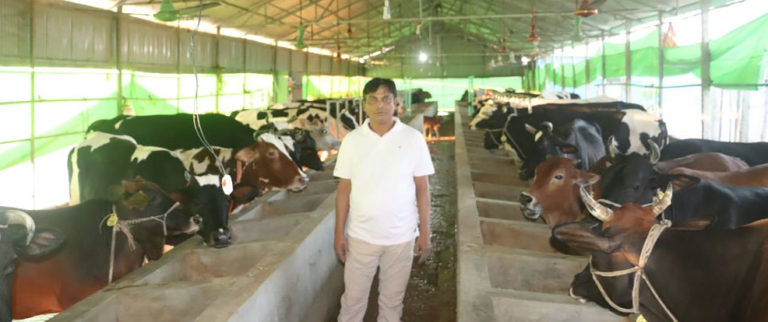 কোরবানি হাট কাঁপাতে প্রস্তুত ফেনীর লাল বাহাদুর ও সুলতান