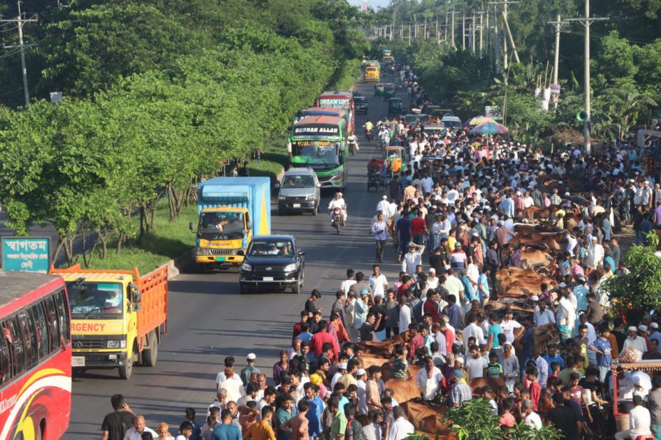ইজারার শর্ত ভেঙ্গে ঢাকা-চট্টগ্রাম মহাসড়কে পশুর হাট !