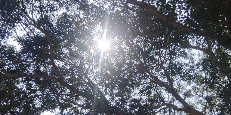 তাপদাহে পুড়ছে পদ্মাপাড়ের রাজশাহী