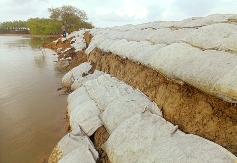 শ্যামনগর উপকূলে নদীর বেড়িবাঁধে ভাঙন