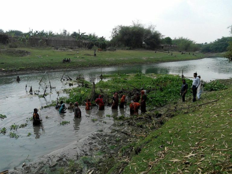 চুয়াডাঙ্গায় মাথাভাঙ্গা নদী থেকে কোমর বাঁধ অপসারণ শুরু