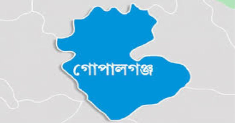 গোপালগঞ্জে বাস খাদে পড়ে আহত ২৫