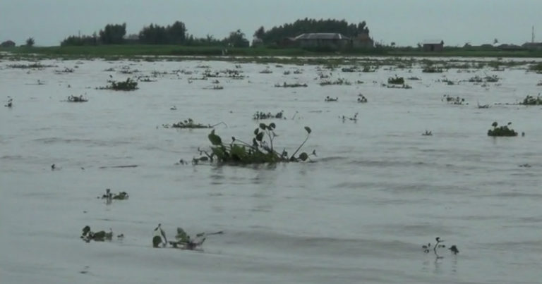 কুড়িগ্রামে নদ-নদীর ৬টি পয়েন্টে পানি বৃদ্ধি অব্যাহত, নিম্নাঞ্চলে বন্যা