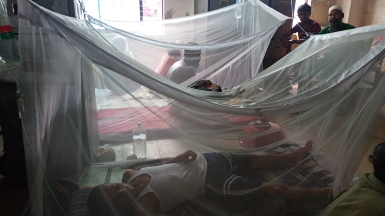 দিনাজপুরে বেড়েই চলছে ডেঙ্গু রোগীর সংখ্যার