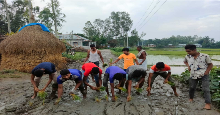 রাস্তা সংস্কার না হওয়ায় ধান রোপন করে প্রতিবাদ