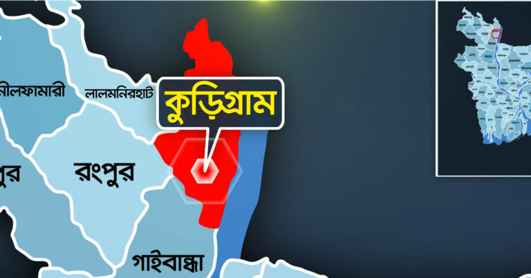 পুকুরের পানিতে পড়ে দুই ভাইয়ের মৃত্যু