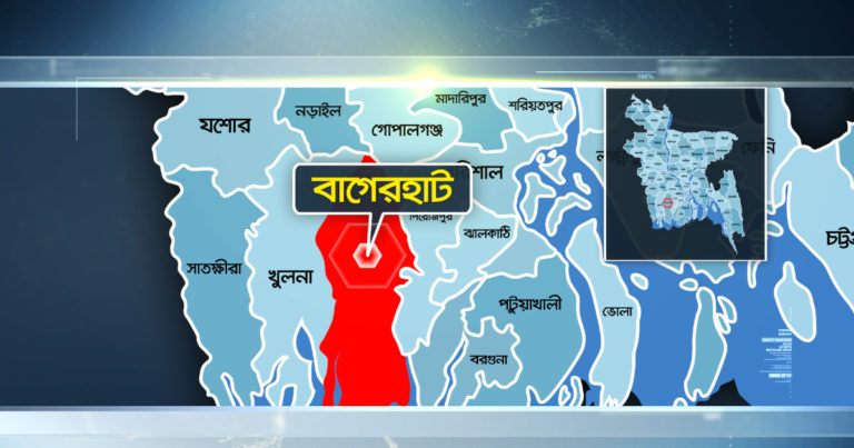 বিধবা নারীকে জবাই করে হত্যা