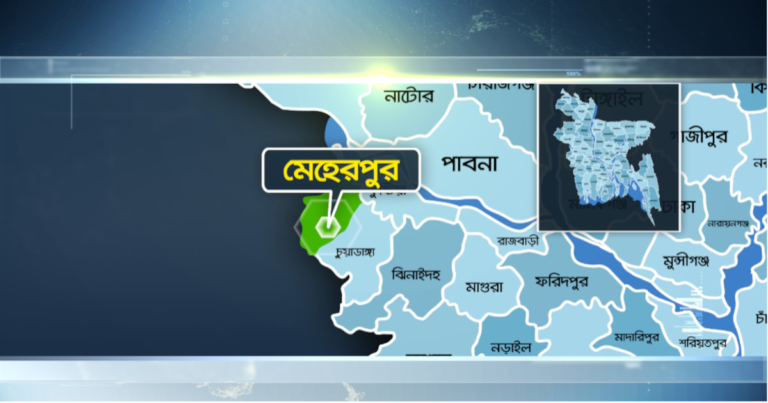 মুজিবনগরে ৩ ছাগল চোরকে গণধোলাই