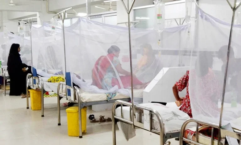 ২৪ ঘণ্টায় ডেঙ্গুতে ৫ জনের মৃত্যু, হাসপাতালে ভর্তি ৬৬৮