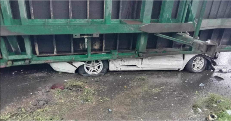 গাড়ির ওপর পড়ল কনটেইনারবাহী লরি, জীবিত উদ্ধার ৫