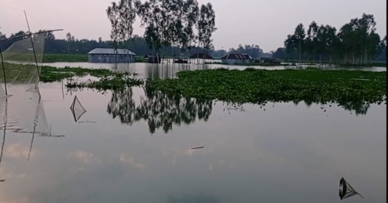 কুড়িগ্রামে আবারো নদ-নদীর পানি বৃদ্ধি