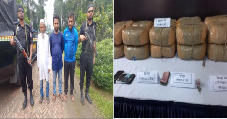 গাজীপুরে ৪০ কেজি গাঁজা উদ্ধার, গ্রেফতার ৩
