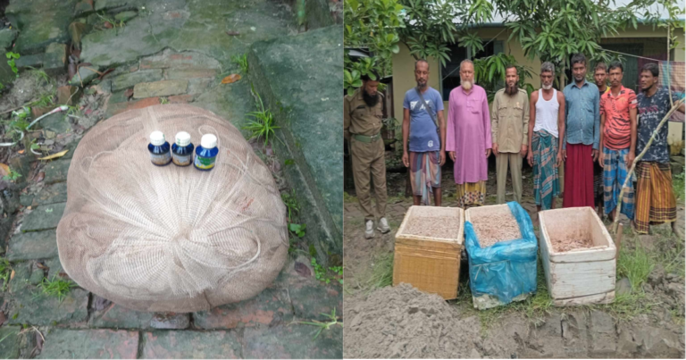 সুন্দরবনে বিষ দিয়ে মাছ শিকার, চিংড়িসহ নৌকা জব্দ