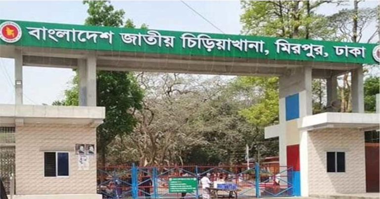জাতীয় চিড়িয়াখানায় দুটি বাঘের রহস্যজনক মৃত্যু