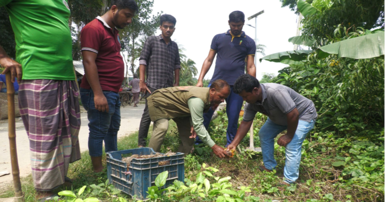 ঝিনাইদহে বজ্রপাত প্রতিরোধী তালবীজ বিতরণ