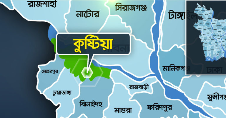 বিদ্যালয় থেকে ফিরে এক ছাত্রীর আত্মহত্যা