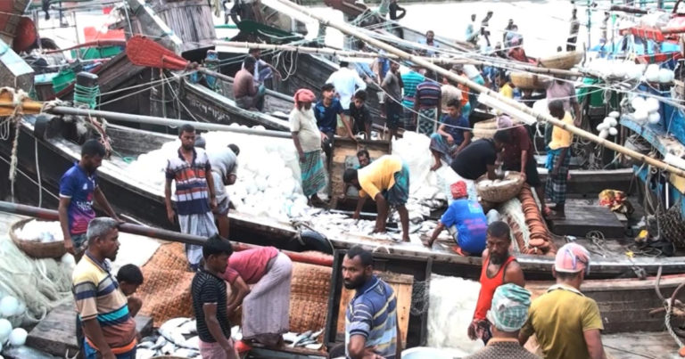 ভরা মৌসুমেও দেখা নেই ইলিশের, বিপাকে জেলেরা
