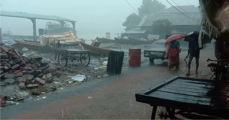টানা বর্ষনে দুশ্চিন্তায় পটুয়াখালীর কৃষক