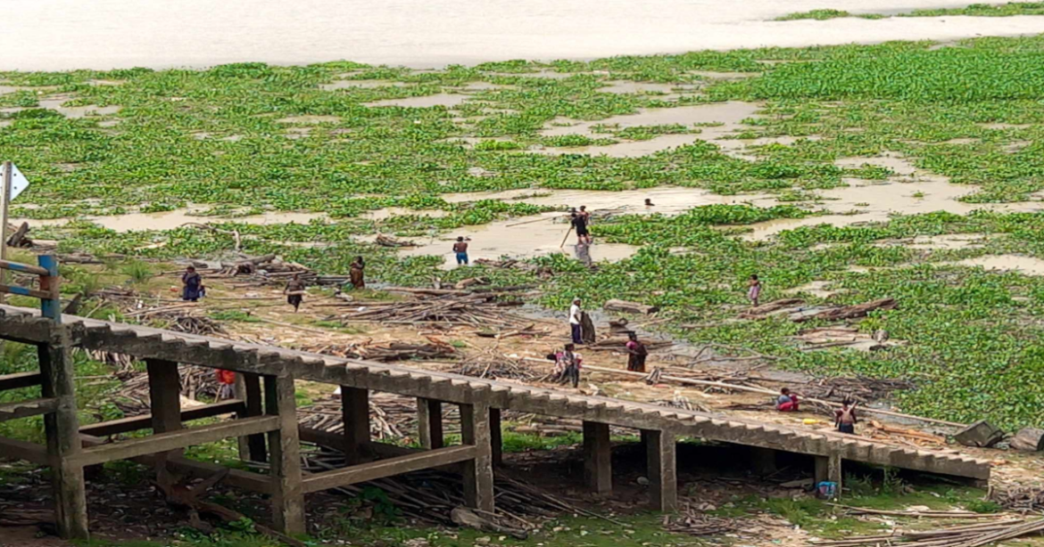 রাঙ্গা