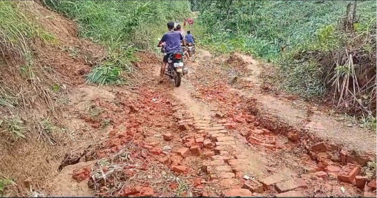রাঙামাটিতে টানাবর্ষণে ৪০-৫০ কিলোমিটার সড়ক ক্ষতিগ্রস্থ