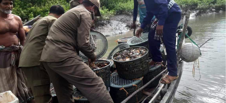 সুন্দরবনে কাঁকড়াসহ জেলে আটক