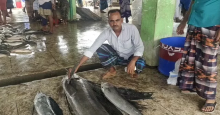 জেলের জালে ধরা পড়লো ৩টি সেইল ফিস